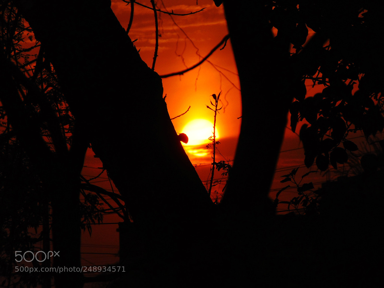 Sony Cyber-shot DSC-H300 sample photo. Sunset photography