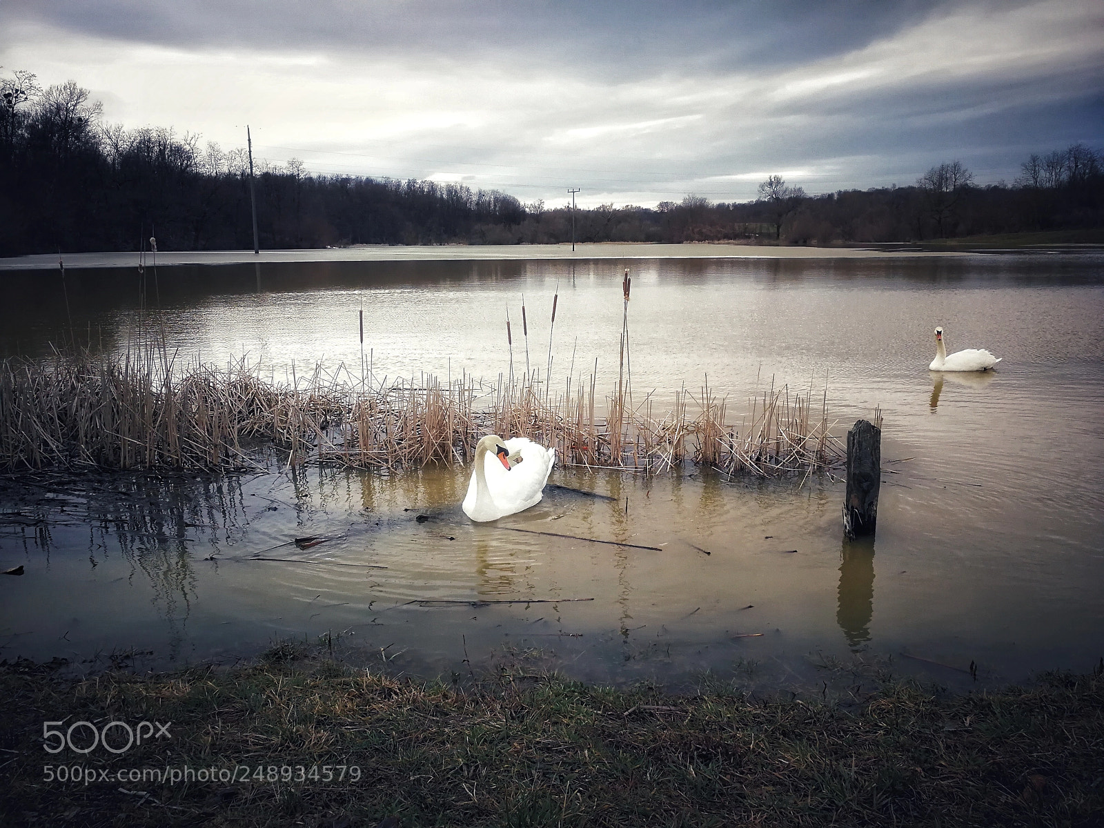 HUAWEI P10 sample photo. Pollution photography