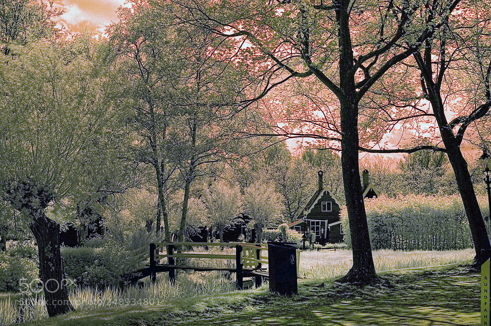 Nikon D70 sample photo. Holland infrared photography