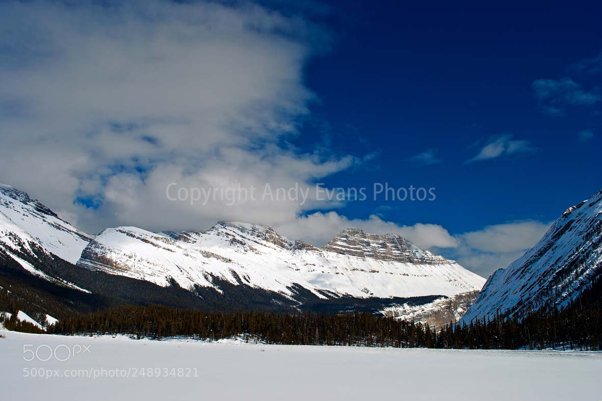 Nikon D3000 sample photo. Icefields parkway highway 93 photography