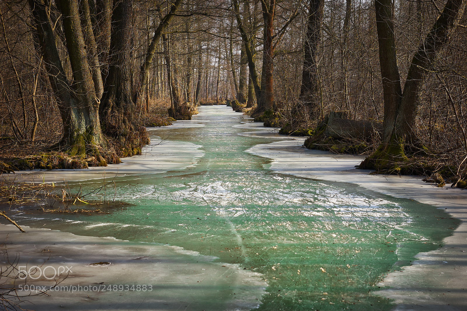 Sony ILCA-77M2 sample photo. Frozen river photography