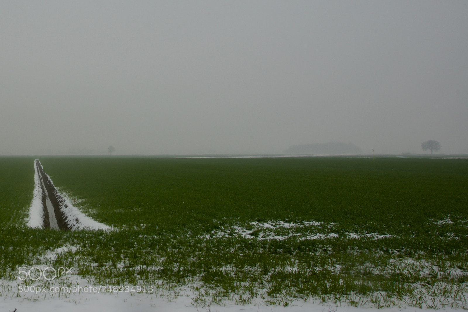 Nikon D800 sample photo. Canale con neve e photography