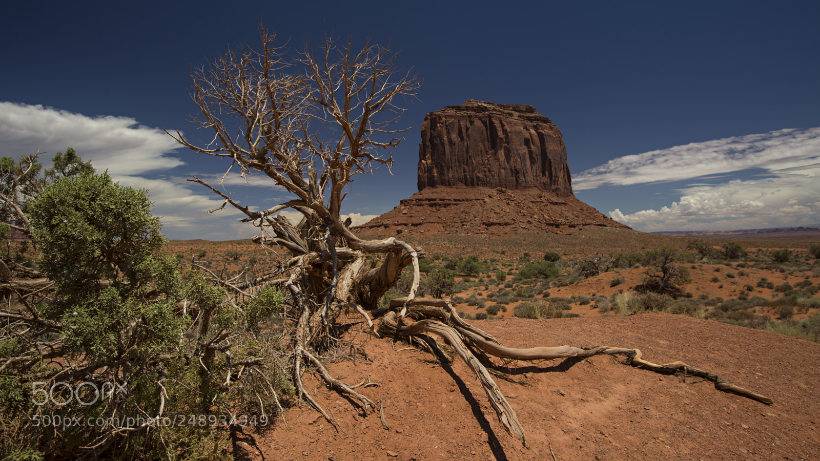Nikon D4 sample photo. Monument photography