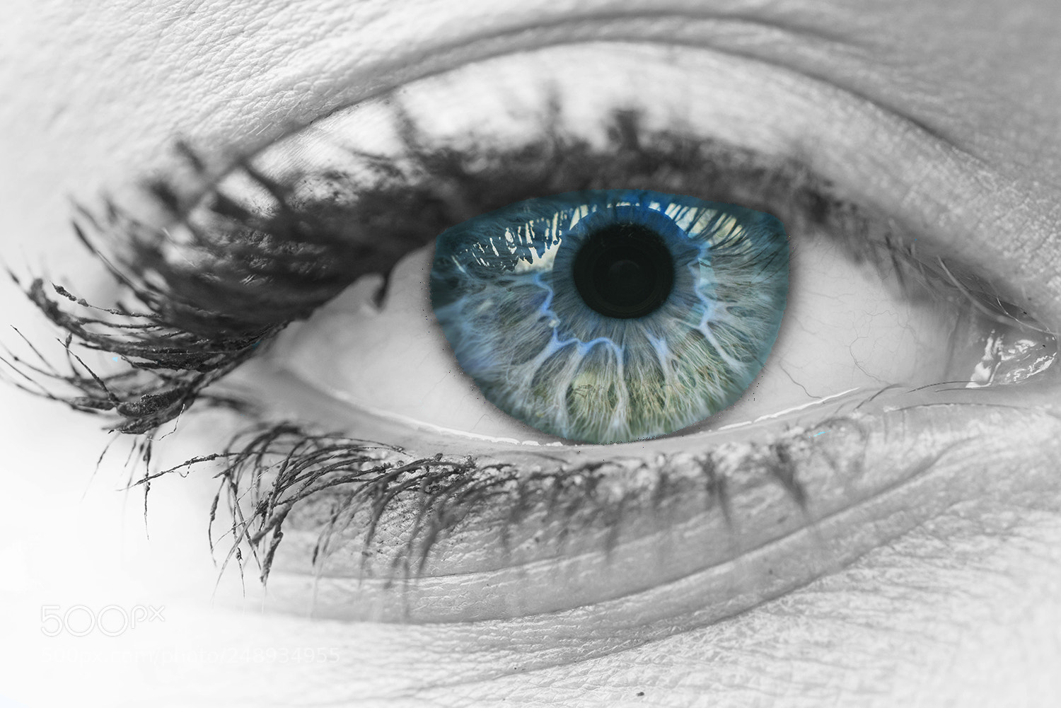 Nikon D810 sample photo. Her eye photography