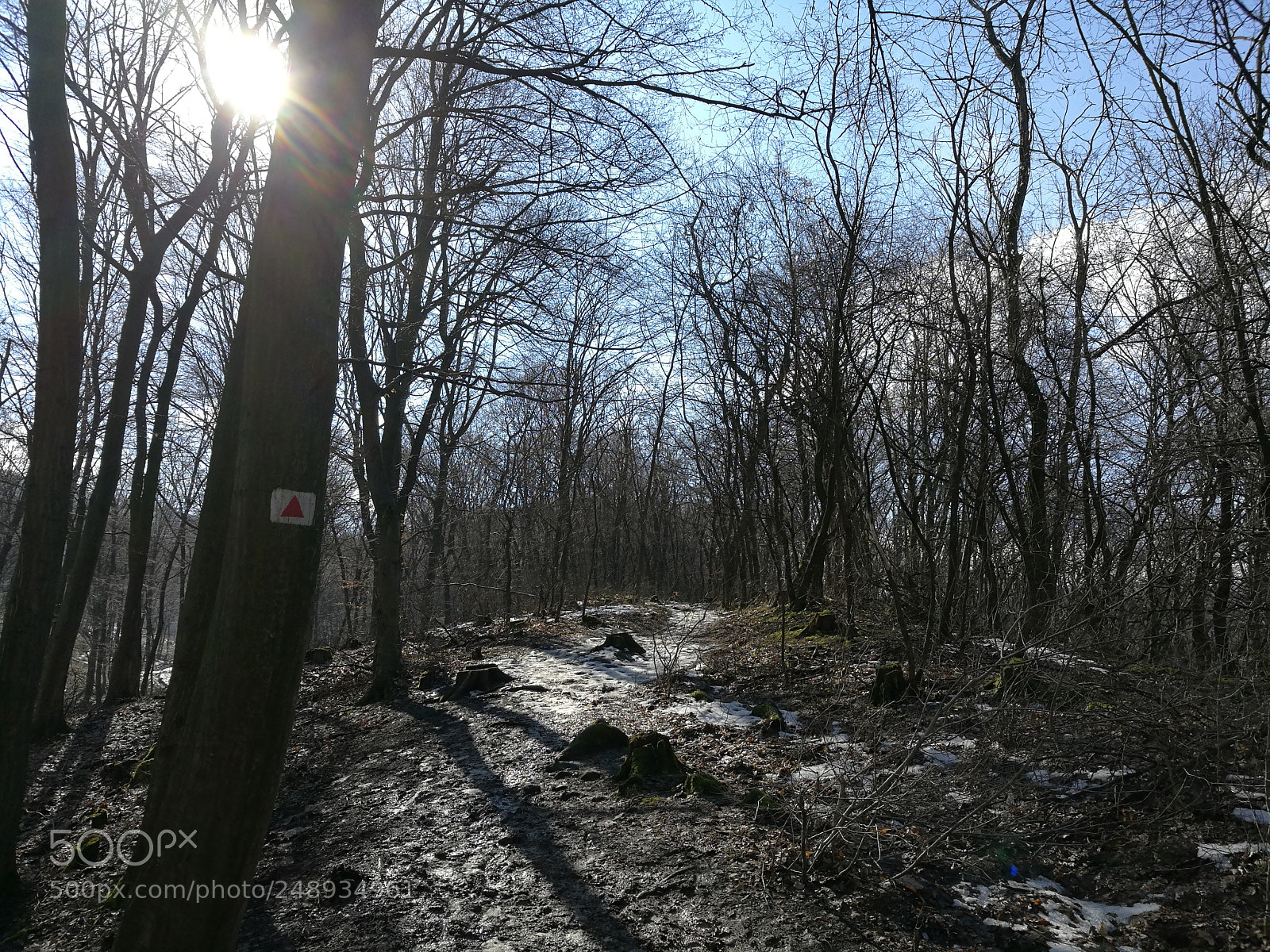 HUAWEI Honor 8 sample photo. Vadálló kövek photography