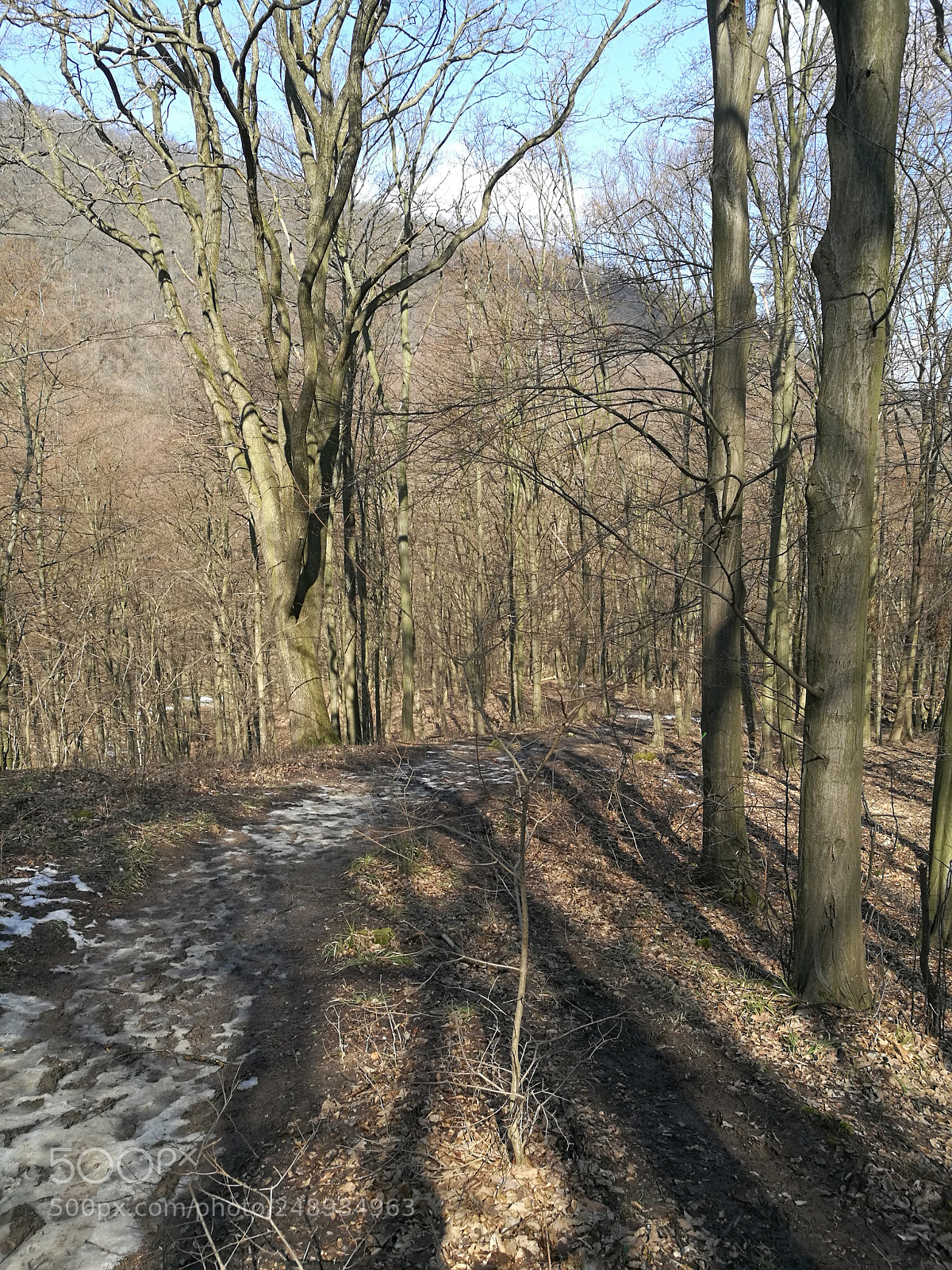HUAWEI Honor 8 sample photo. Vadálló kövek photography