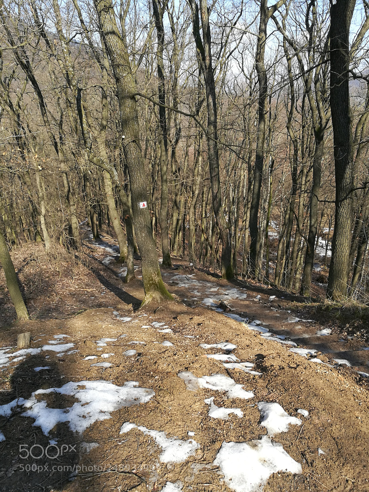 HUAWEI Honor 8 sample photo. Vadálló kövek photography