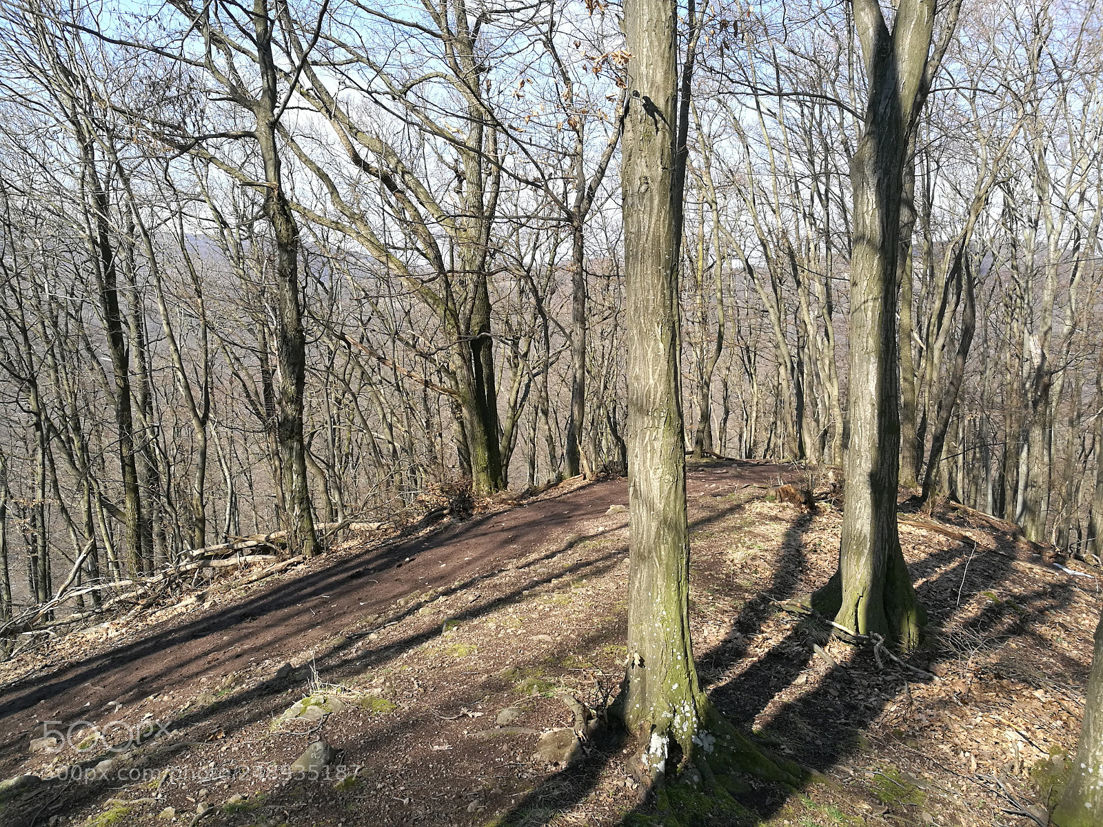 HUAWEI Honor 8 sample photo. Vadálló kövek photography