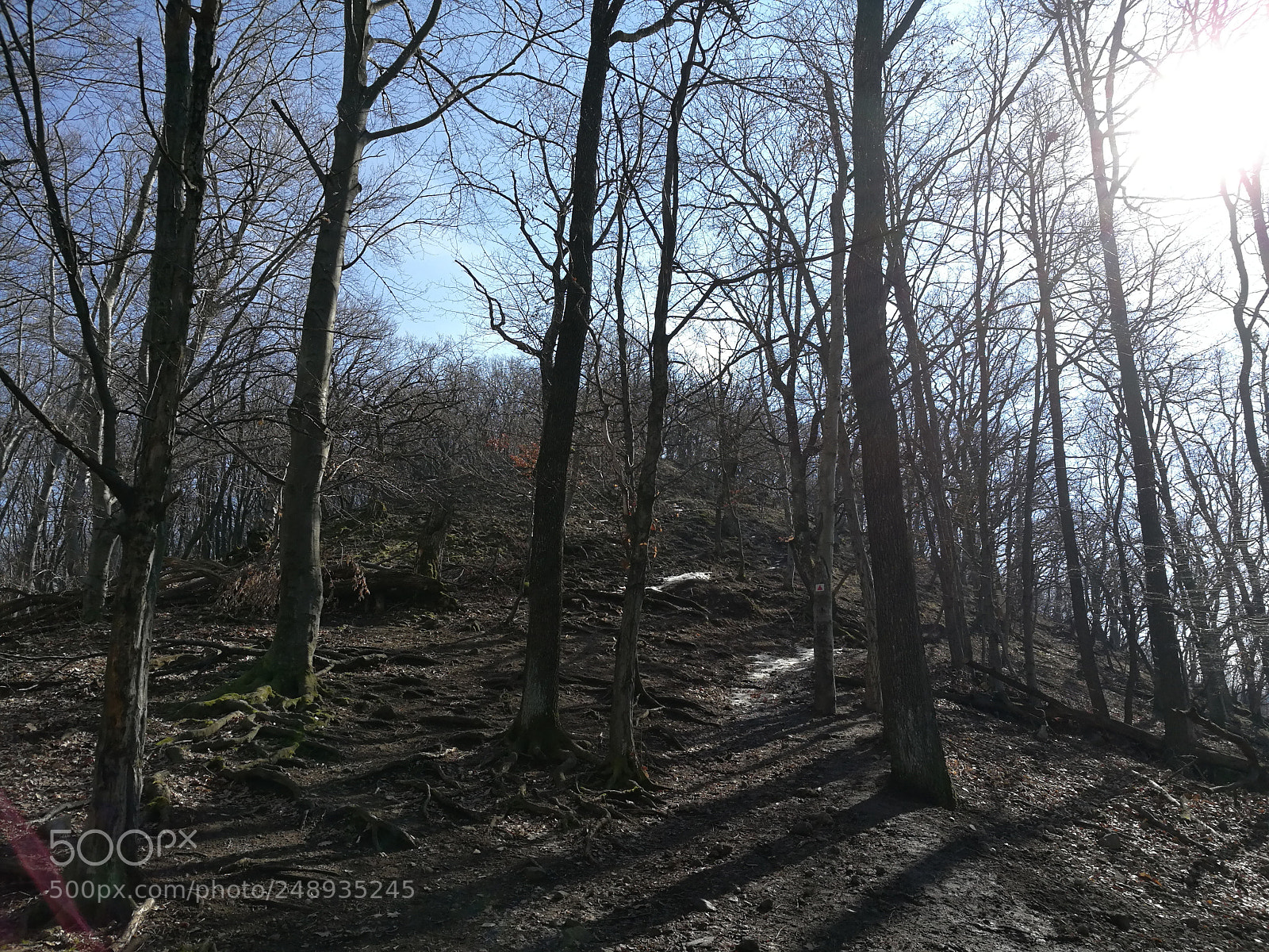 HUAWEI Honor 8 sample photo. Vadálló kövek photography