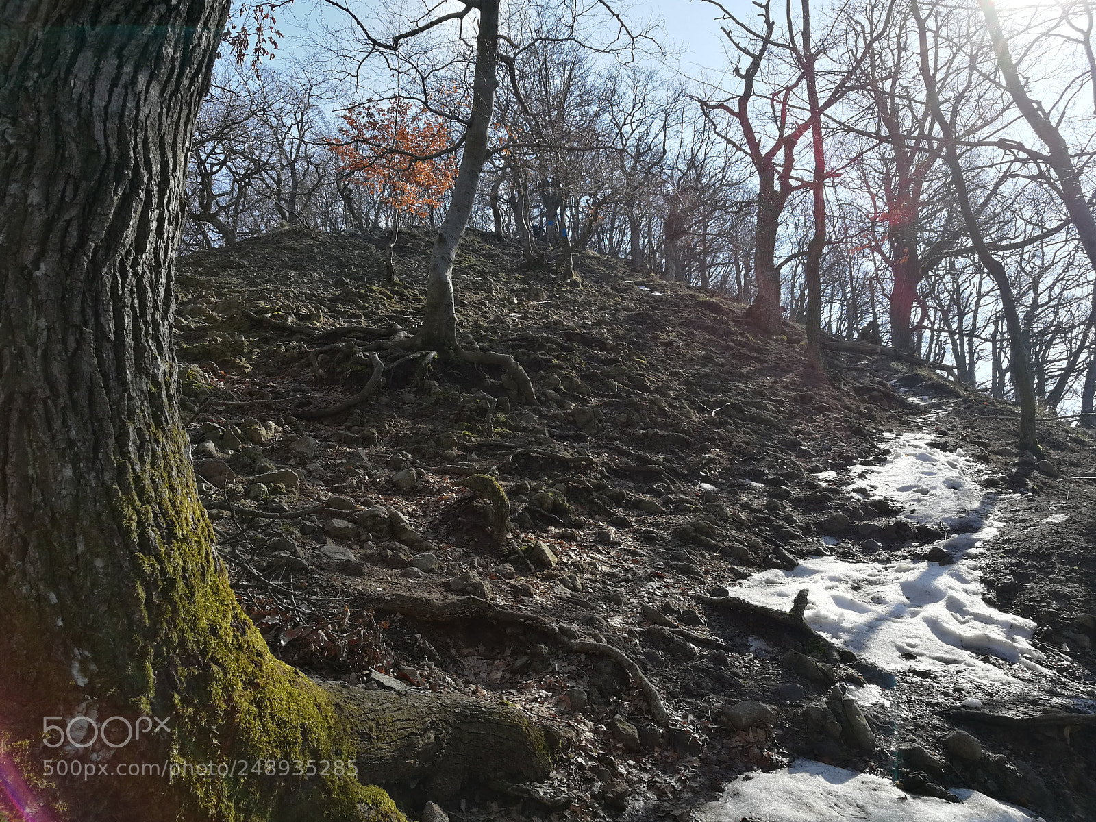 HUAWEI Honor 8 sample photo. Vadálló kövek photography