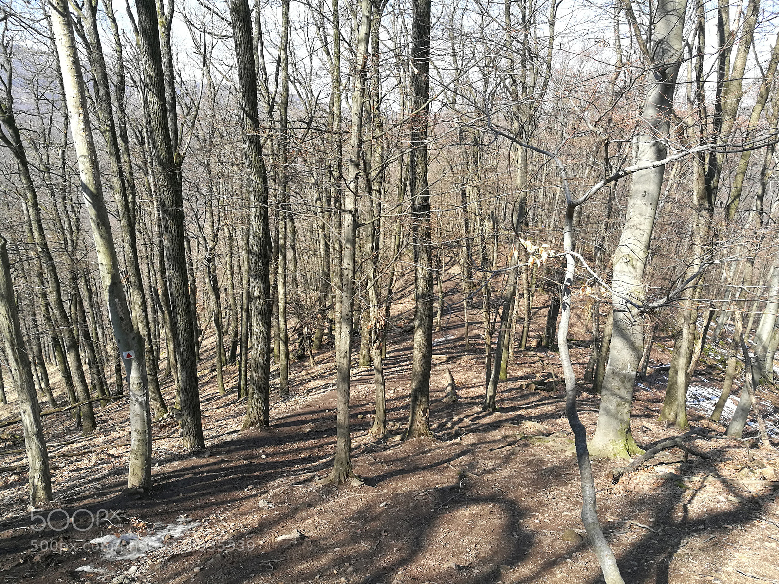 HUAWEI Honor 8 sample photo. Vadálló kövek photography