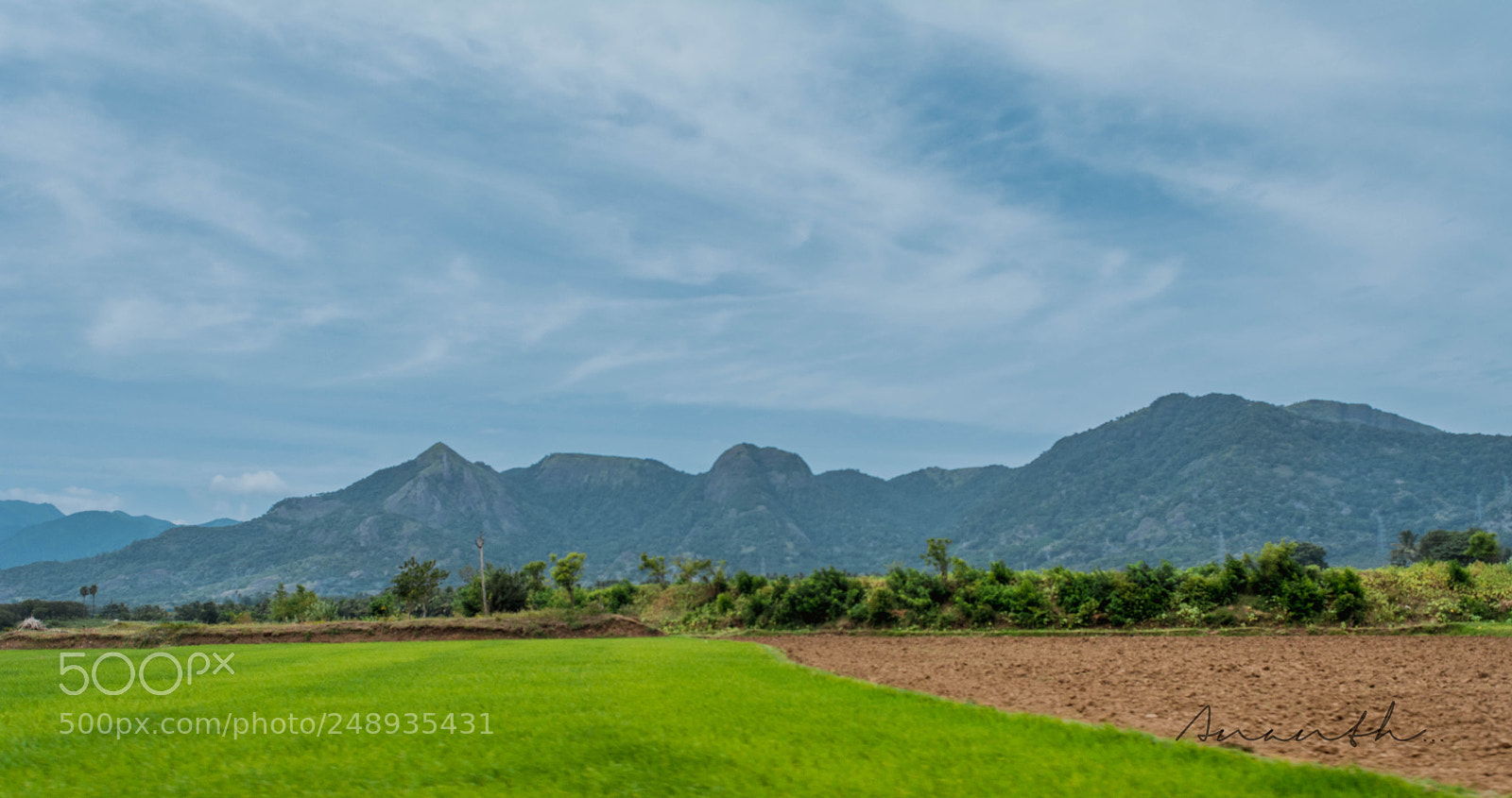 Nikon D5200 sample photo. Field by the mountains photography