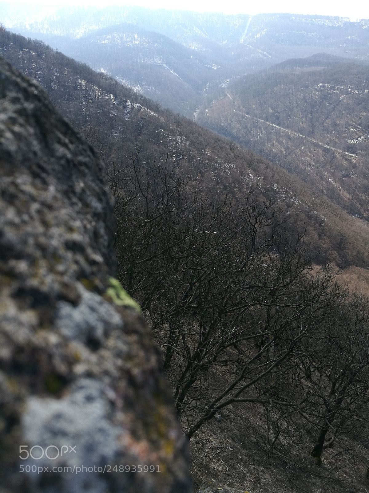 HUAWEI Honor 8 sample photo. Vadálló kövek photography
