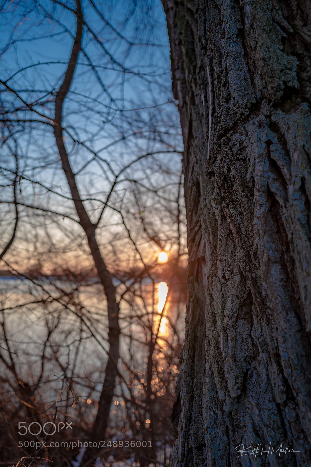 Leica Q (Typ 116) sample photo. Mood photography