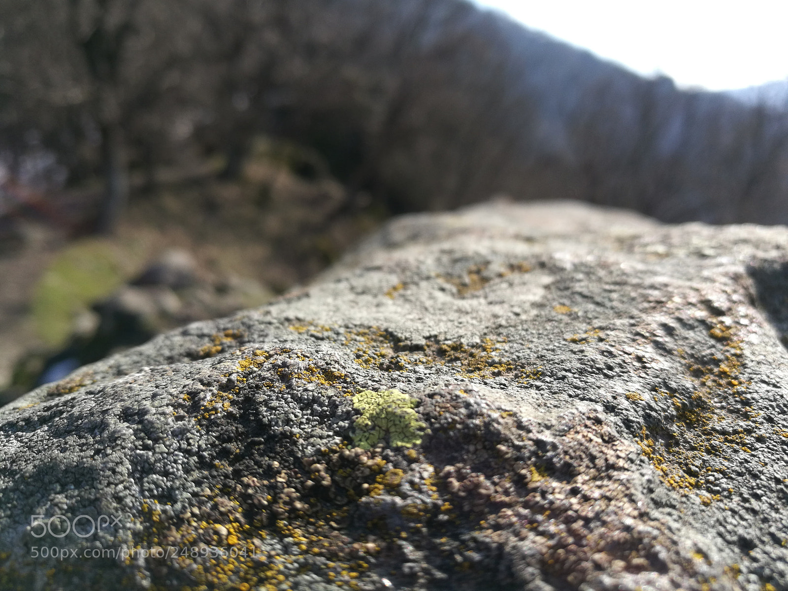 HUAWEI Honor 8 sample photo. Vadálló kövek photography