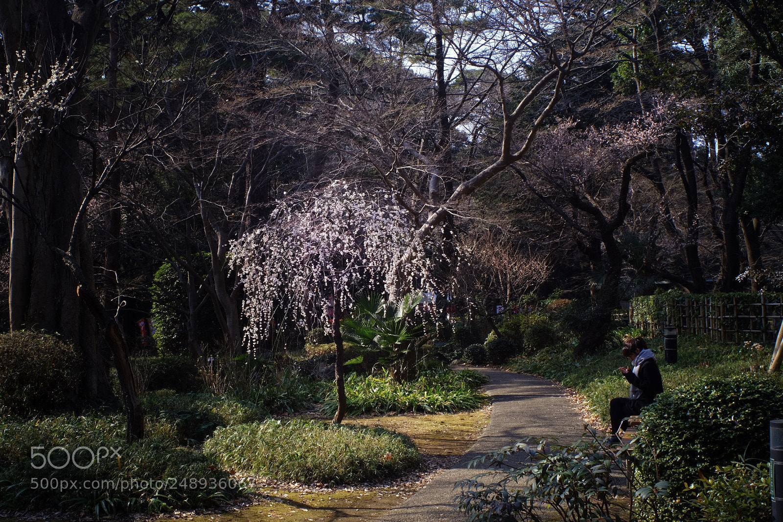 Fujifilm X-T20 sample photo. Pray photography
