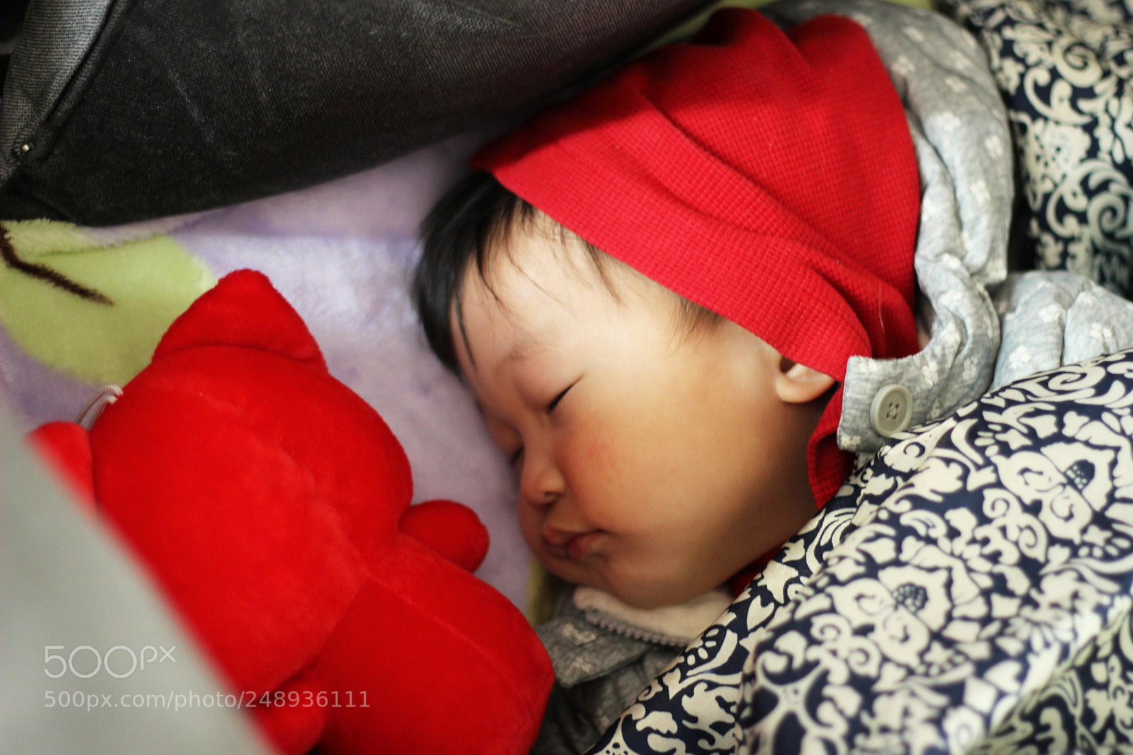 Canon EOS 600D (Rebel EOS T3i / EOS Kiss X5) sample photo. Zzz--- photography