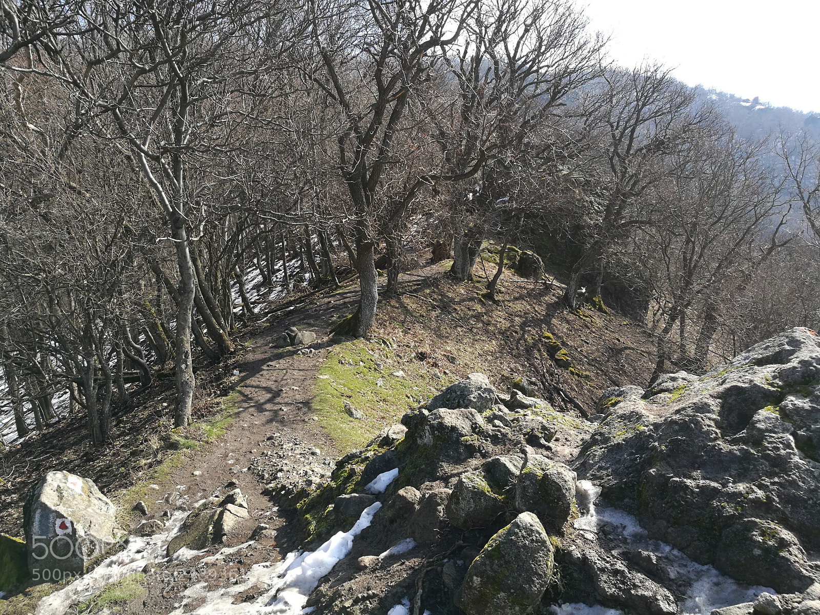 HUAWEI Honor 8 sample photo. Vadálló kövek photography