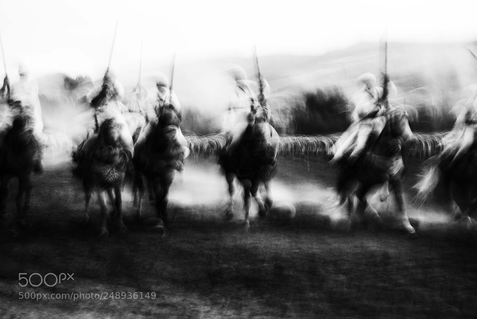 Nikon D3000 sample photo. Horses  in motion photography