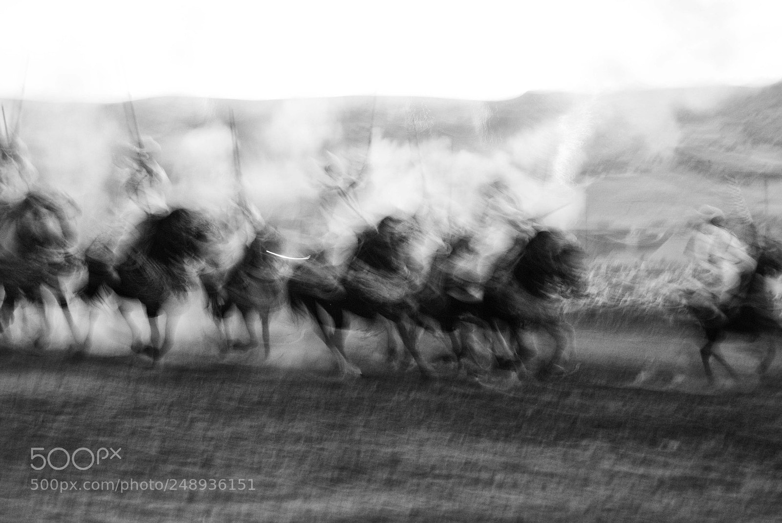 Nikon D3000 sample photo. Horses  in motion photography