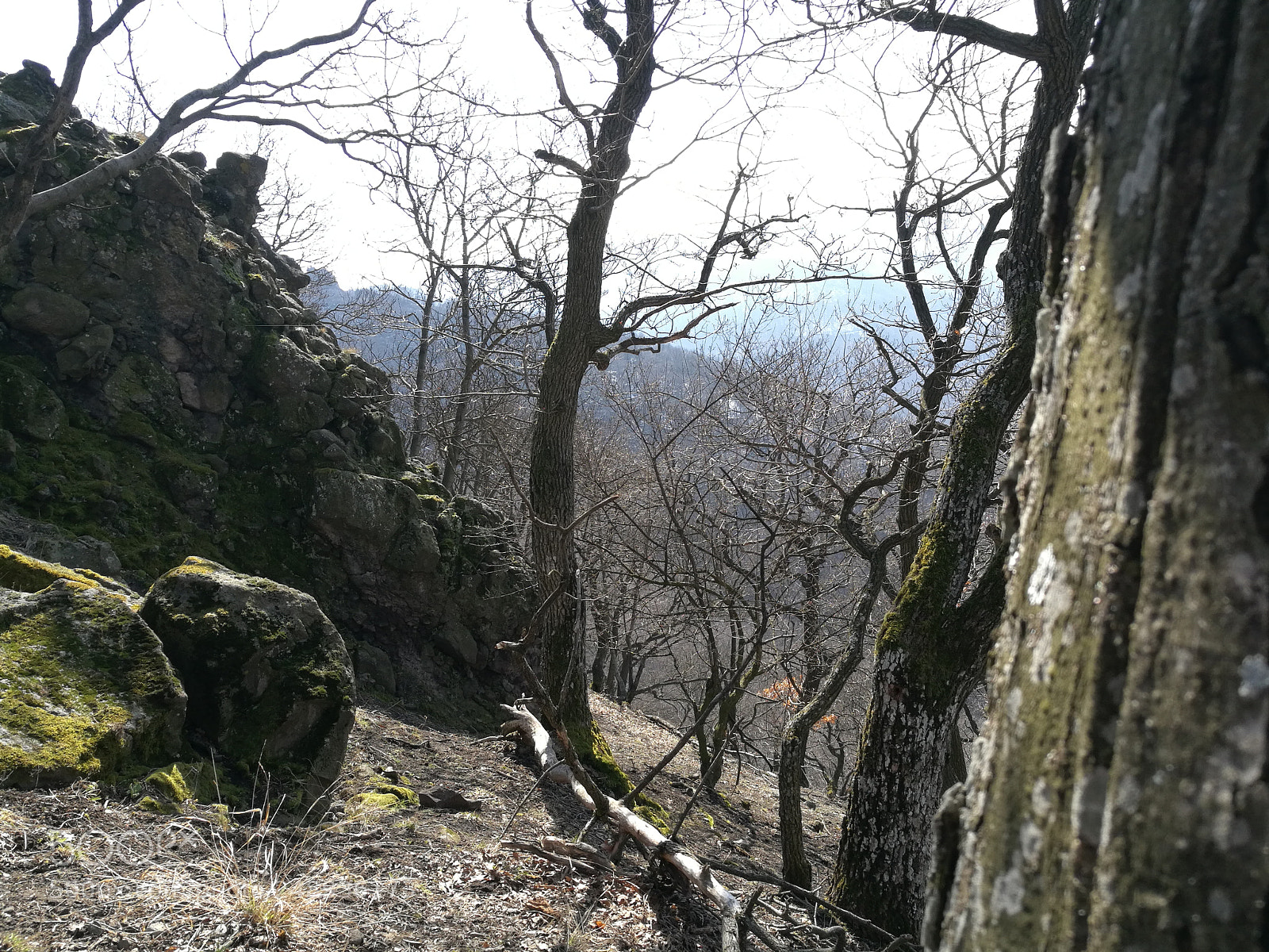 HUAWEI Honor 8 sample photo. Vadálló kövek photography
