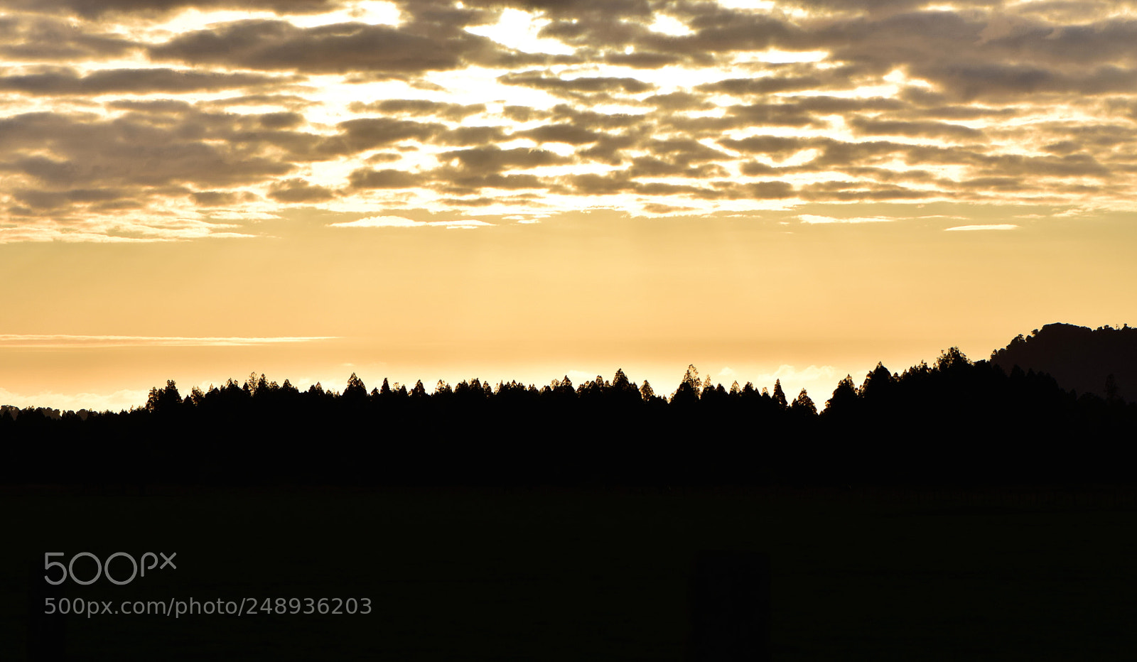 Nikon D5300 sample photo. New zealand sunset photography