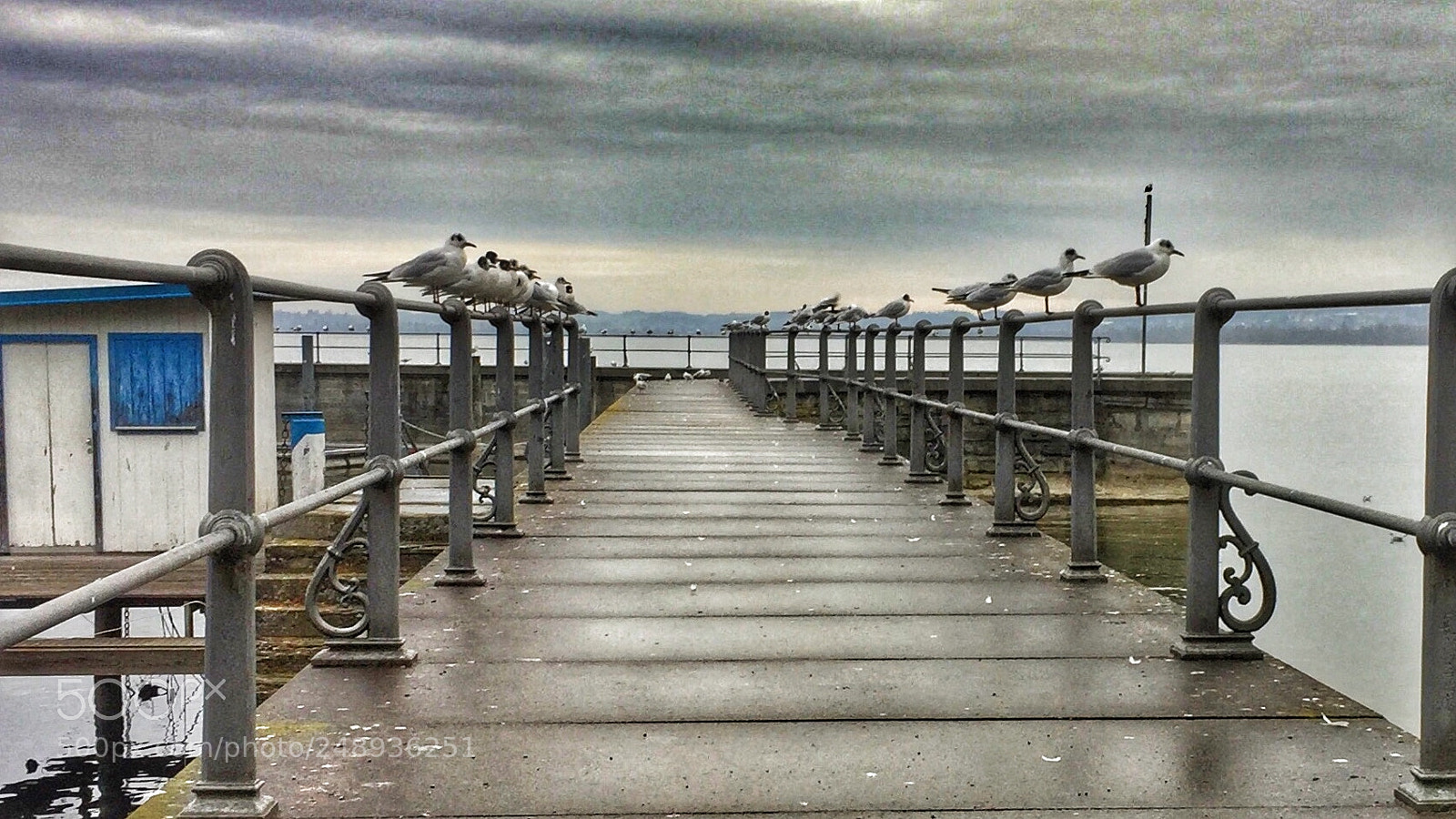 Apple iPhone 6 sample photo. In rows photography