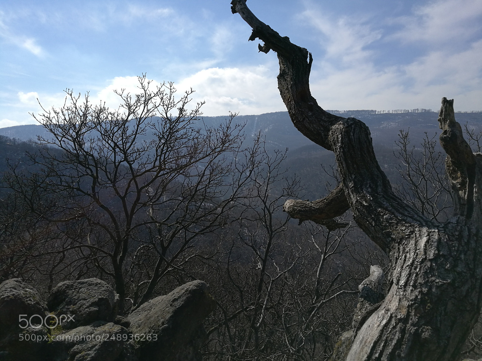 HUAWEI Honor 8 sample photo. Vadálló kövek photography