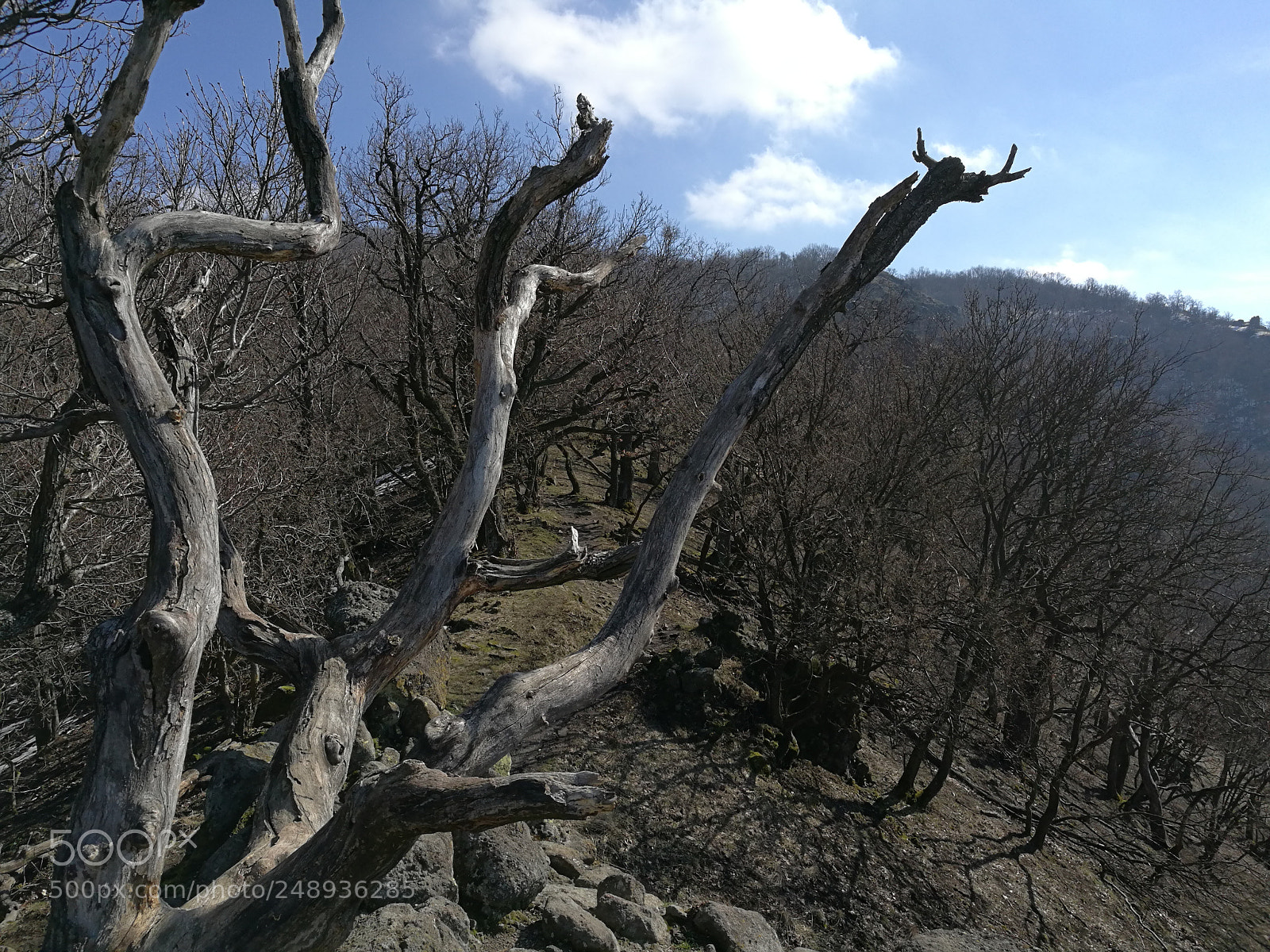 HUAWEI Honor 8 sample photo. Vadálló kövek photography