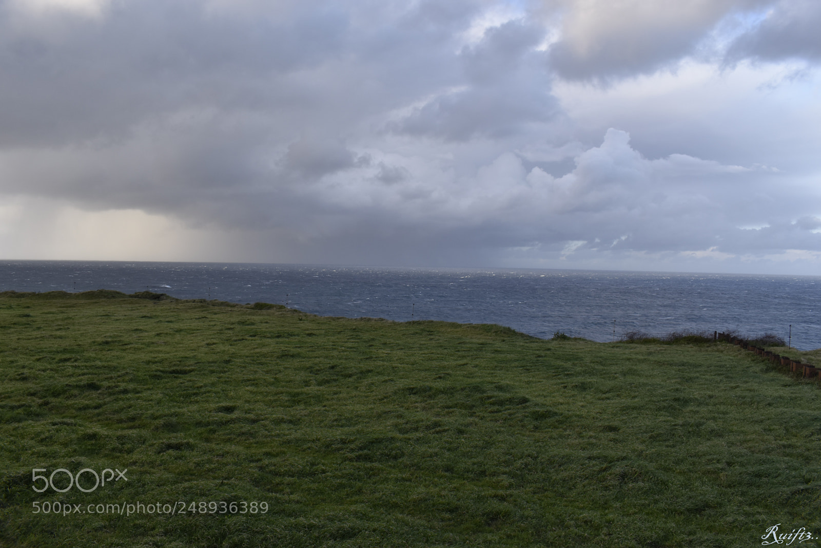 Nikon D5600 sample photo. The rain photography