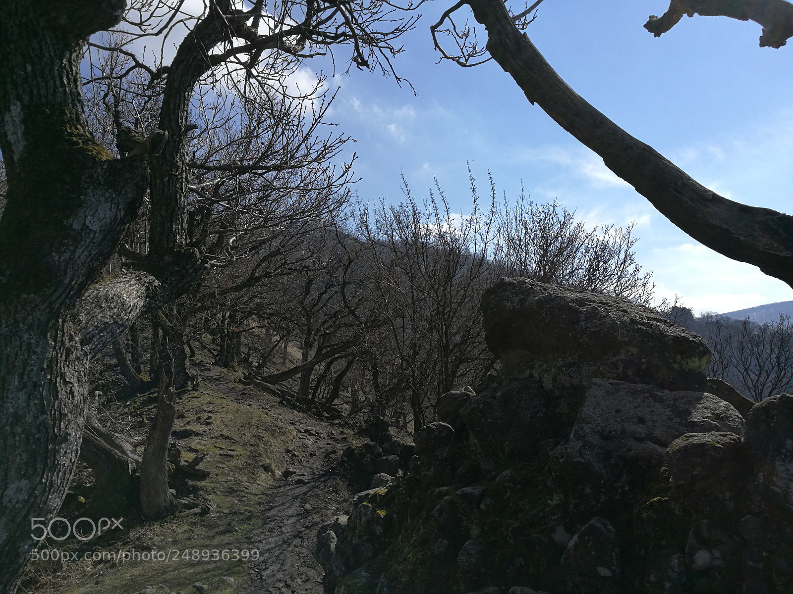 HUAWEI Honor 8 sample photo. Vadálló kövek photography