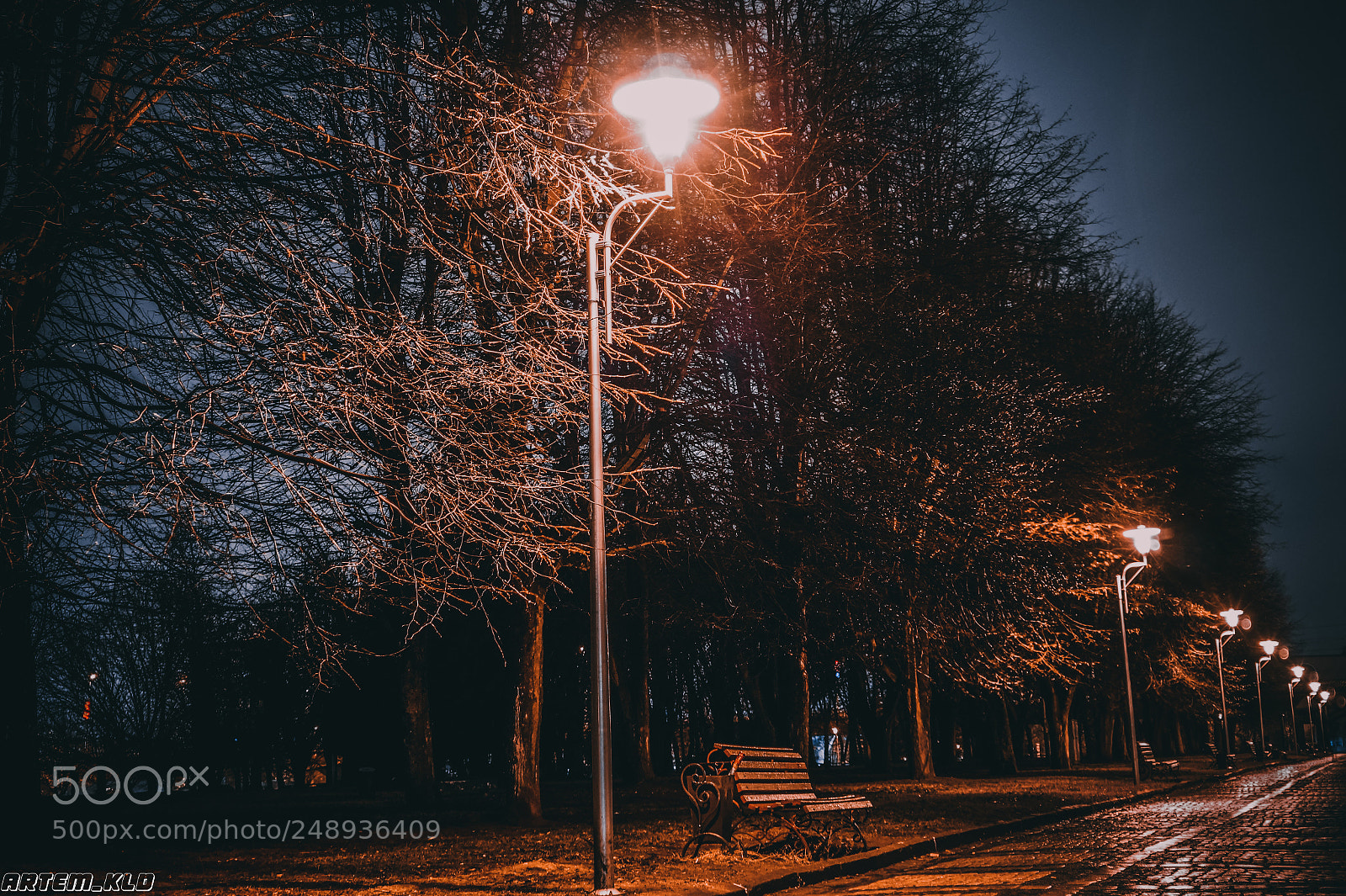 Sony Alpha a3500 sample photo. Lights photography