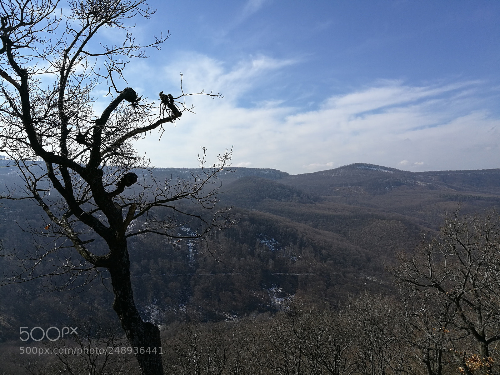 HUAWEI Honor 8 sample photo. Vadálló kövek photography