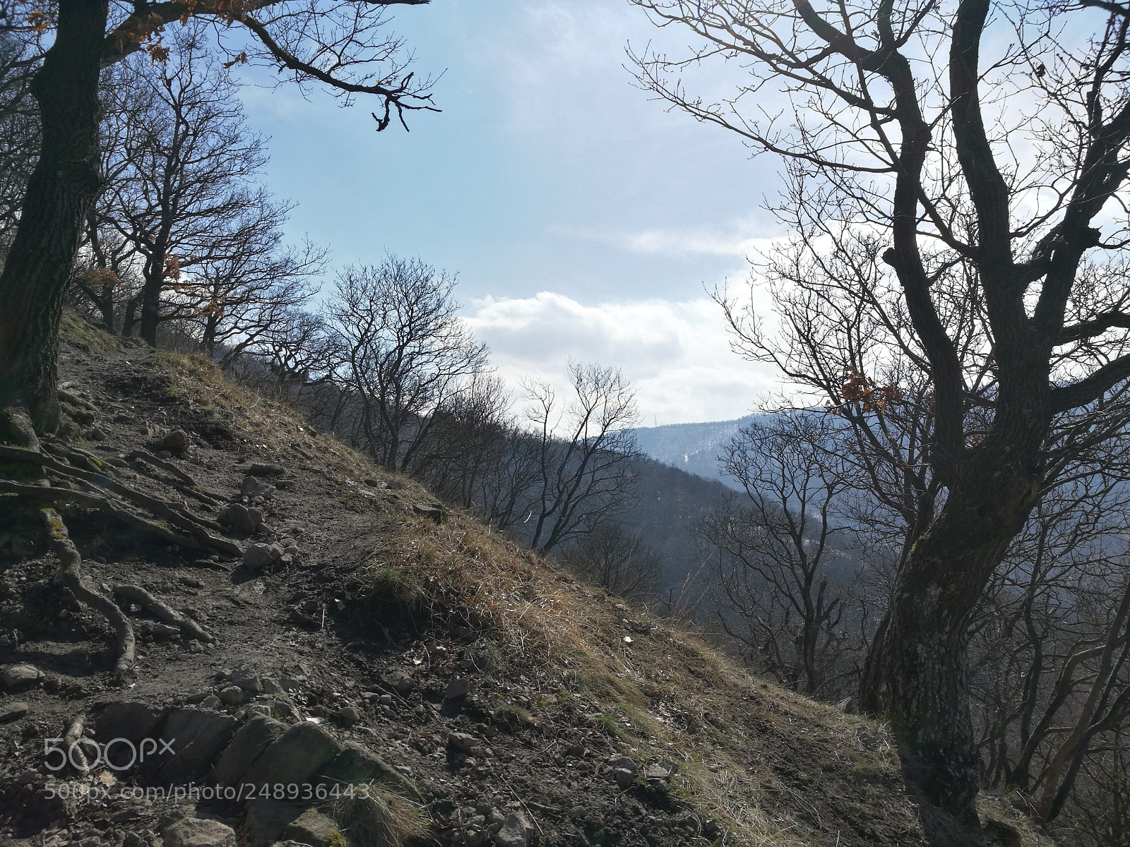 HUAWEI Honor 8 sample photo. Vadálló kövek photography