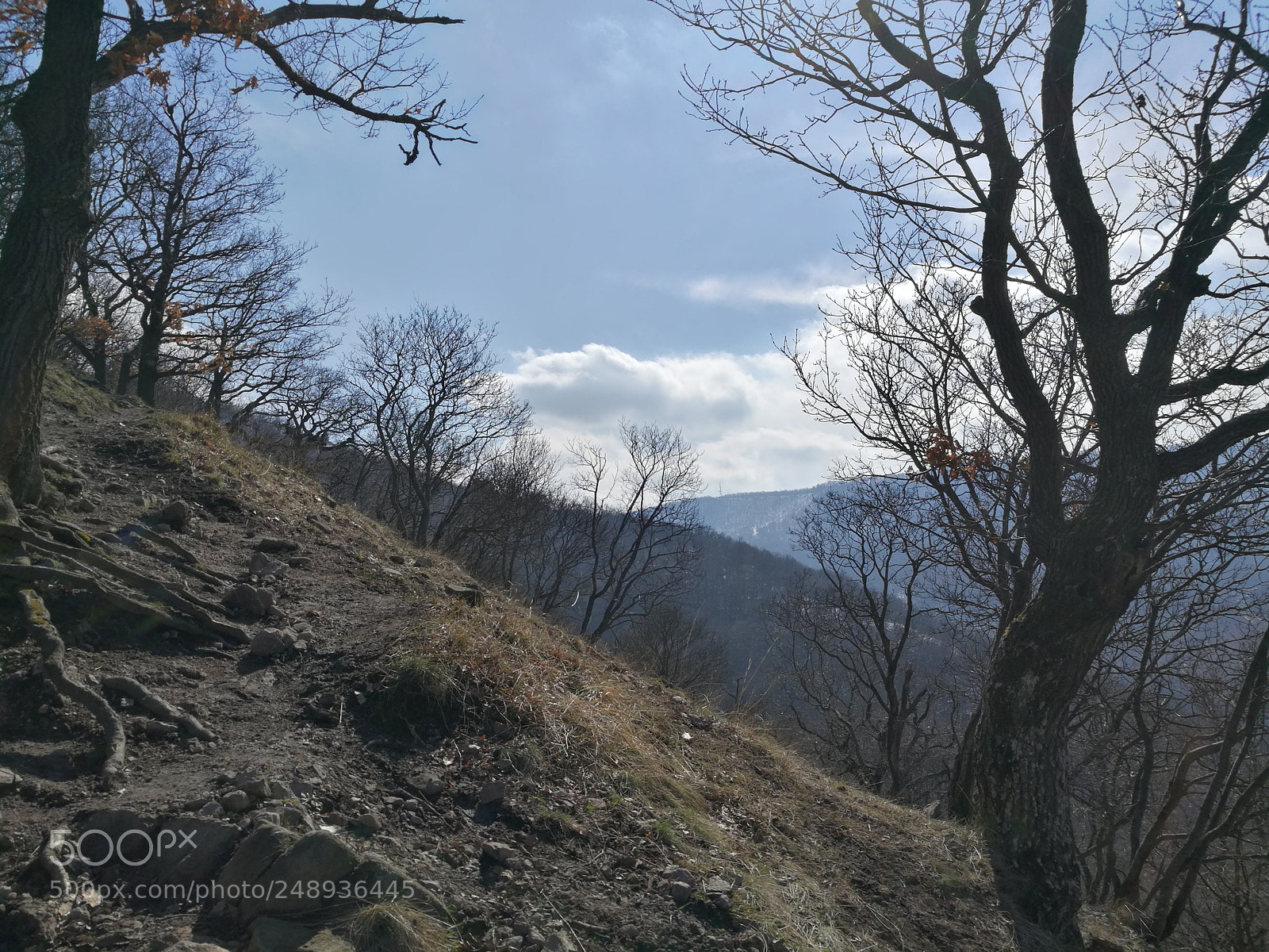 HUAWEI Honor 8 sample photo. Vadálló kövek photography