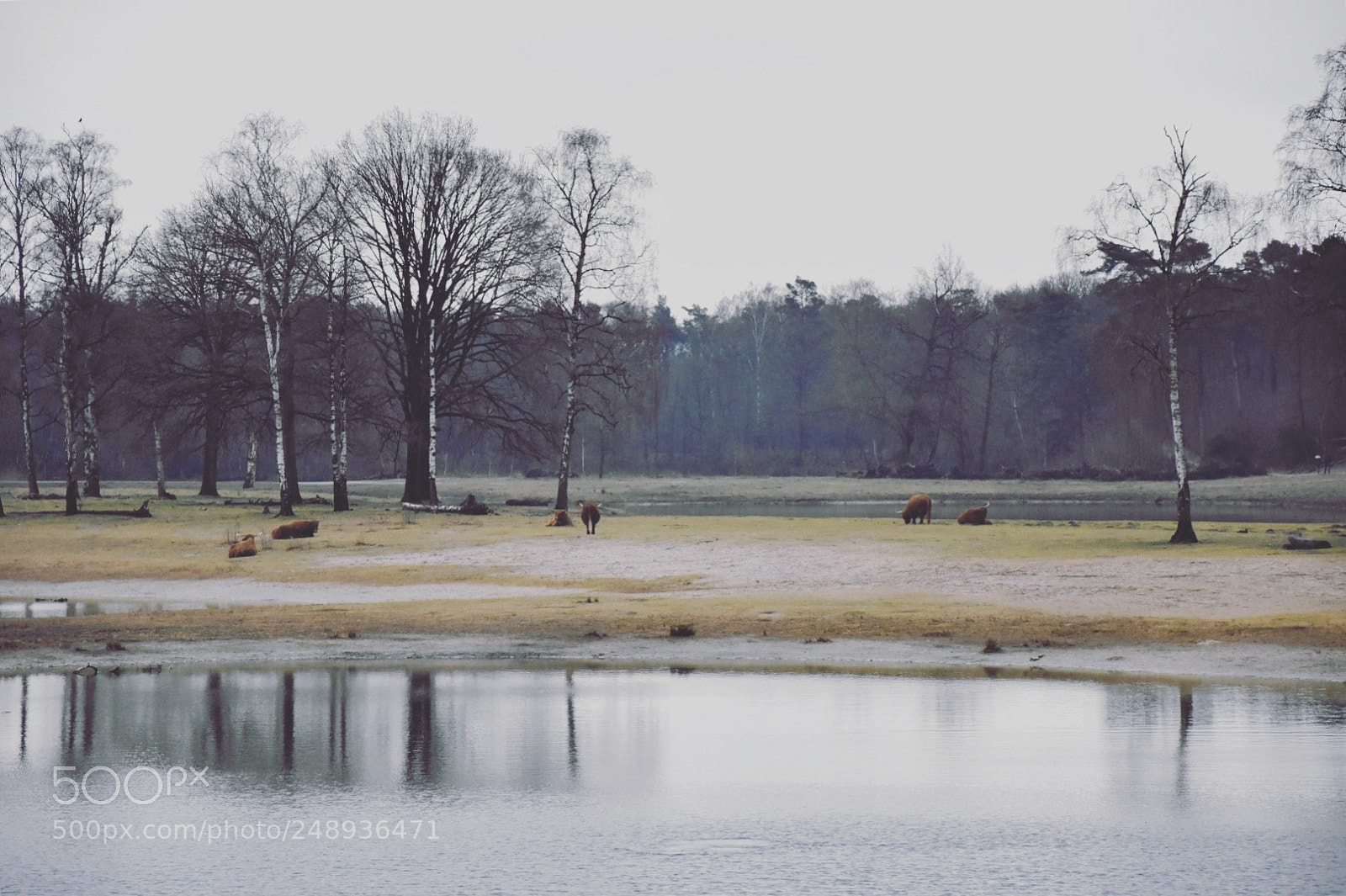 Nikon D3400 sample photo. Boswachterij dorst photography