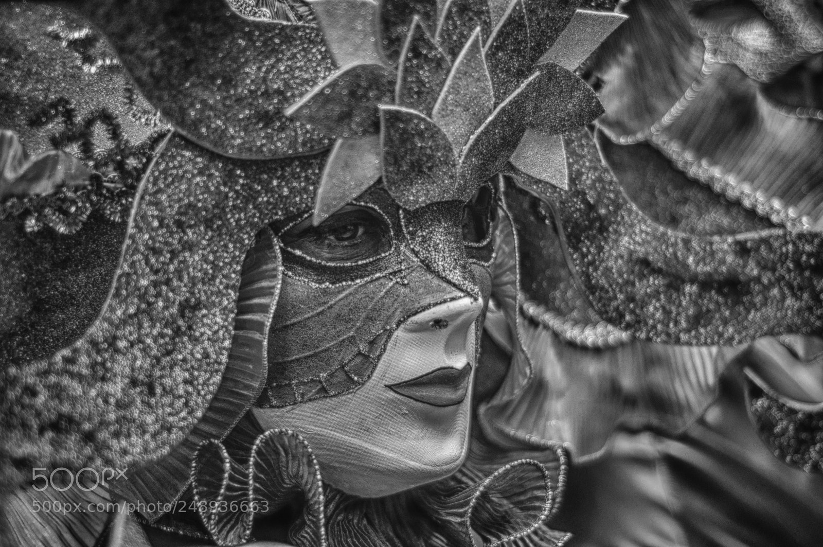 Nikon D90 sample photo. Untitled photography