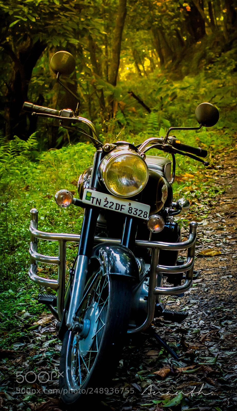 Nikon D5200 sample photo. The ride photography