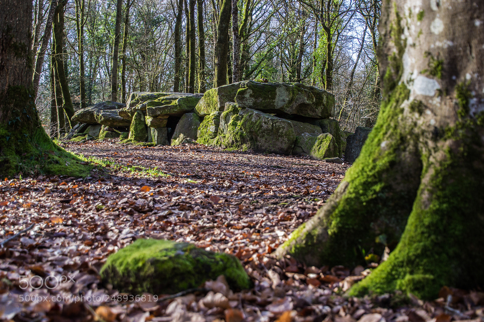 Canon EOS 600D (Rebel EOS T3i / EOS Kiss X5) sample photo. Tressé dolmens photography