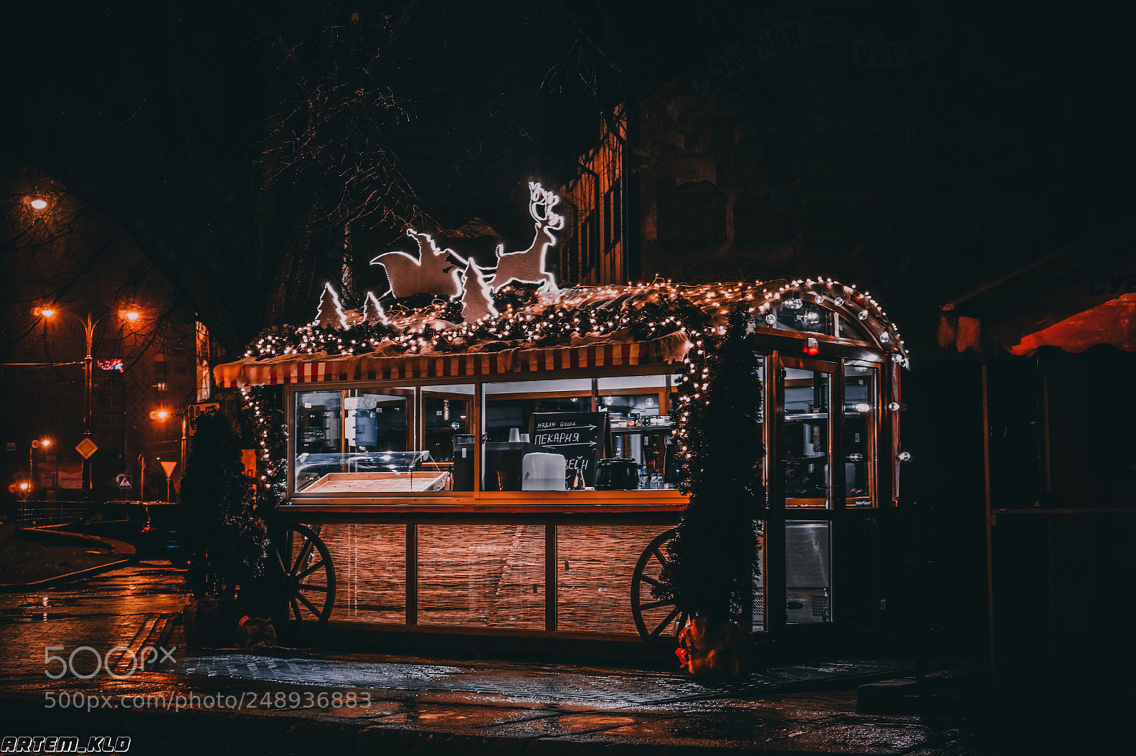 Sony Alpha a3500 sample photo. Christmas shop photography
