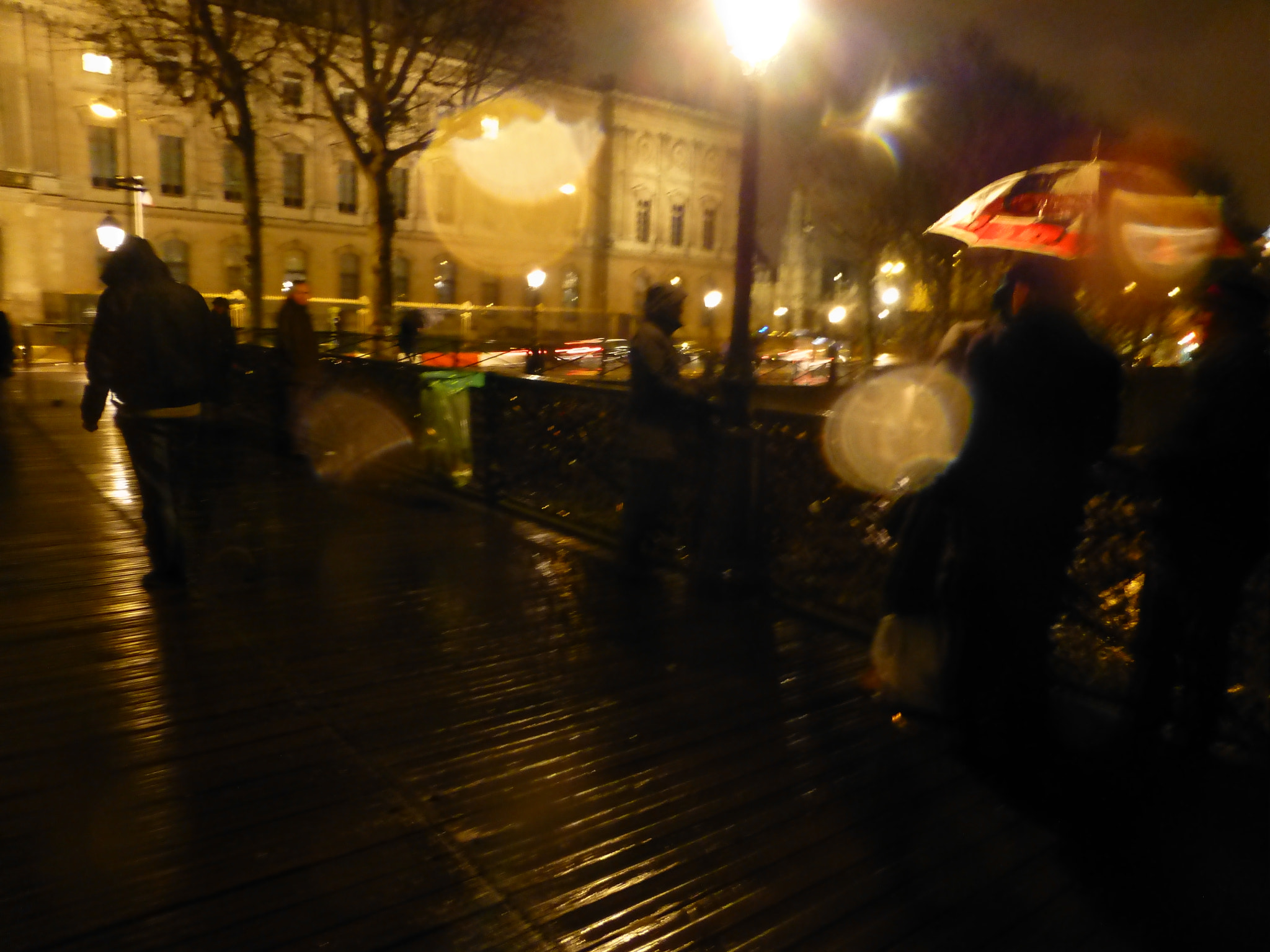 Panasonic Lumix DMC-ZS20 (Lumix DMC-TZ30) sample photo. Pont des arts photography