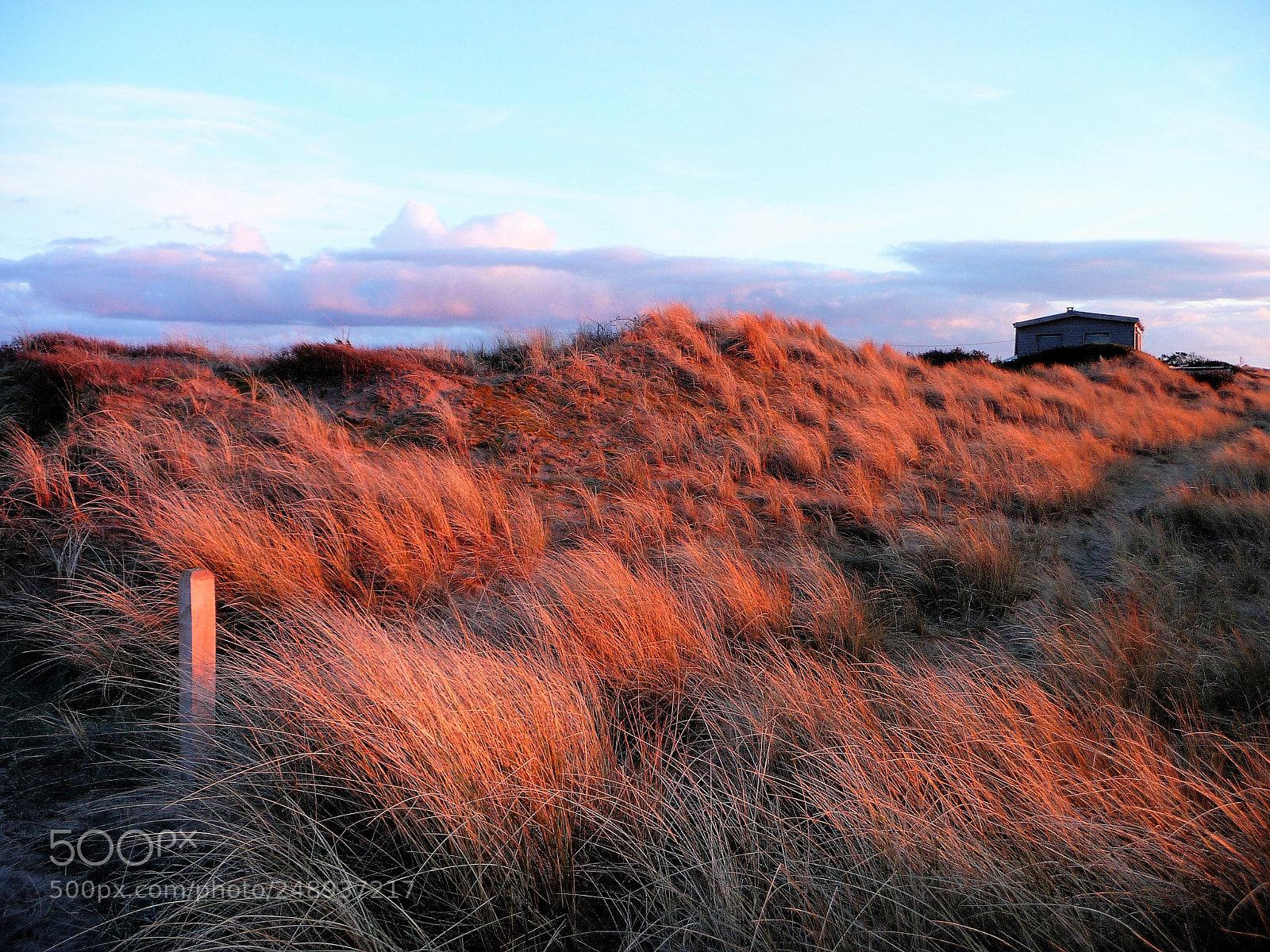 Panasonic Lumix DMC-TZ5 sample photo. Sunrise and house photography