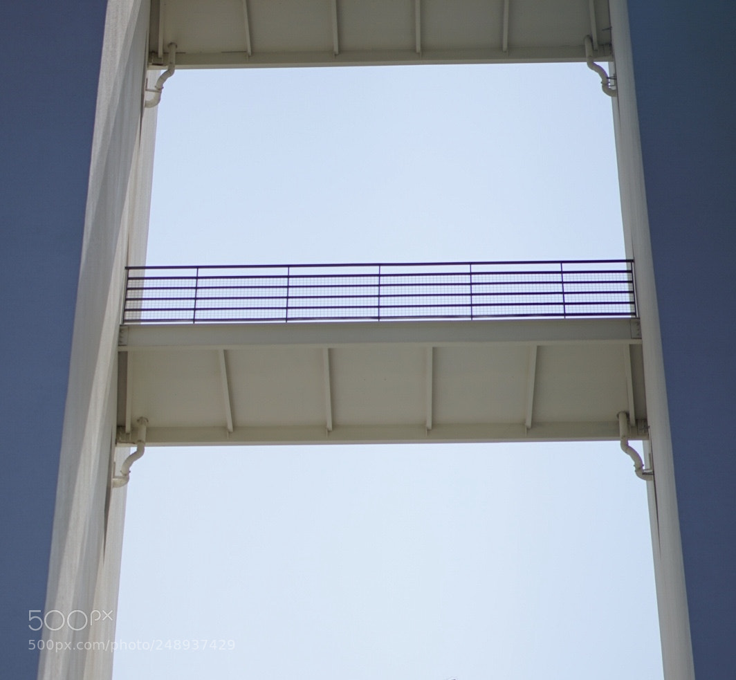 Sony a7 II sample photo. Untitled photography