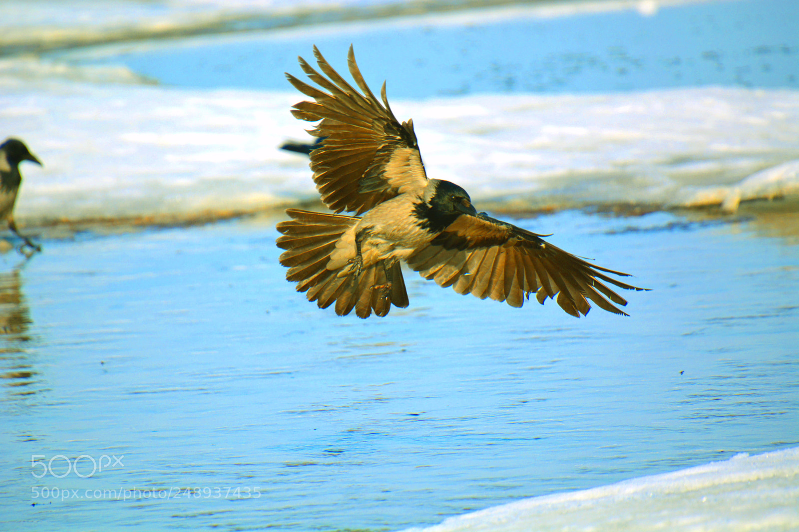 Nikon D5200 sample photo. Untitled photography