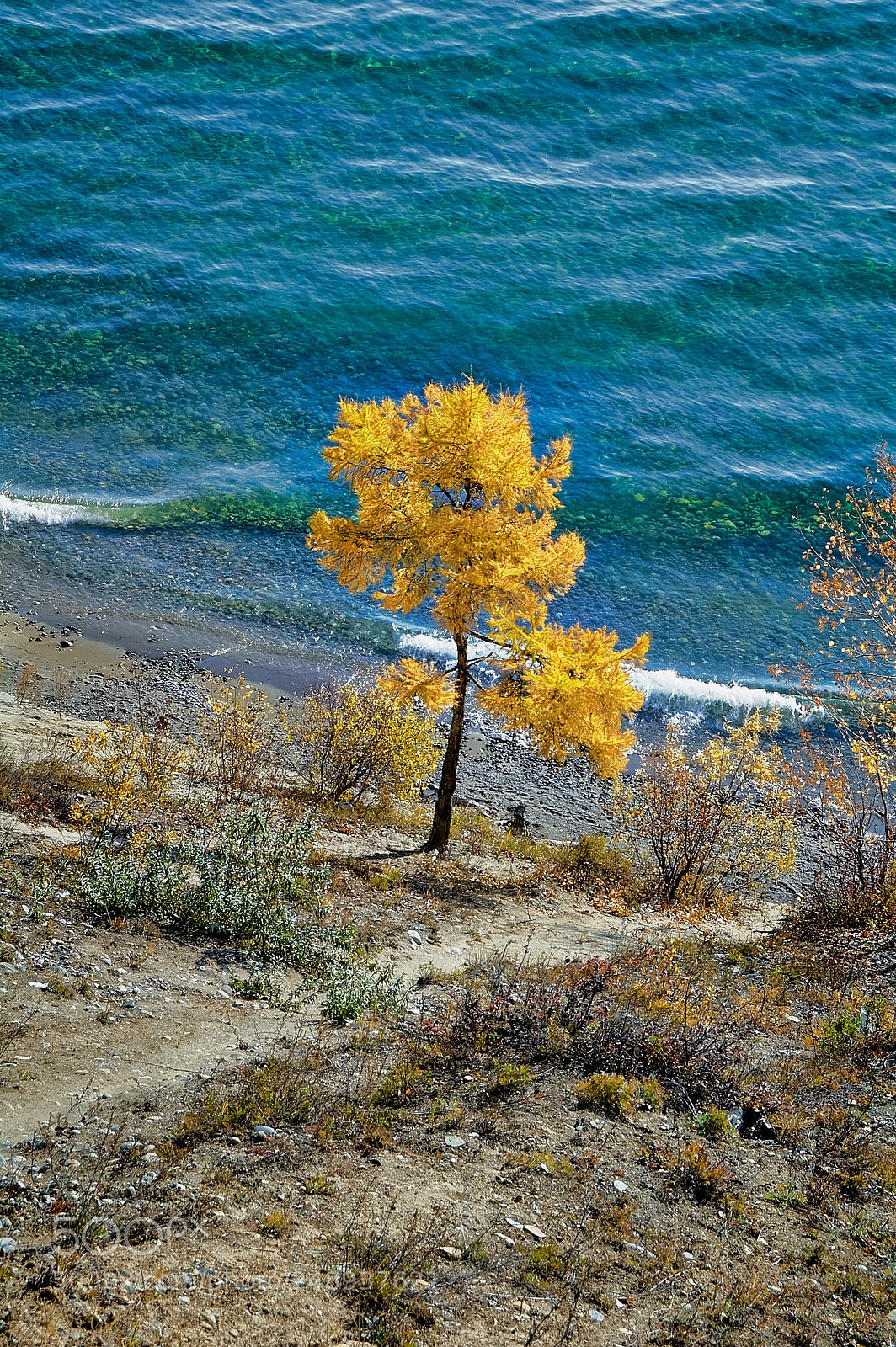 Nikon D70 sample photo. Байкал берег осень photography