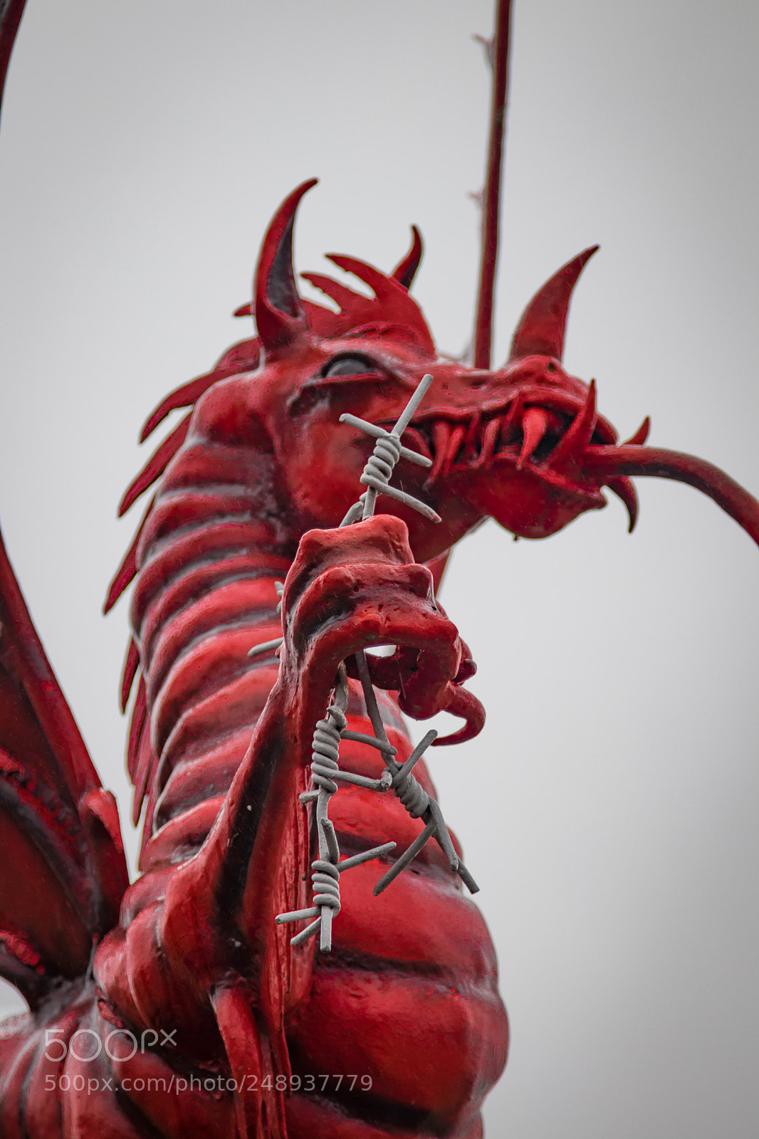 Canon EOS 80D sample photo. Mametz wood photography