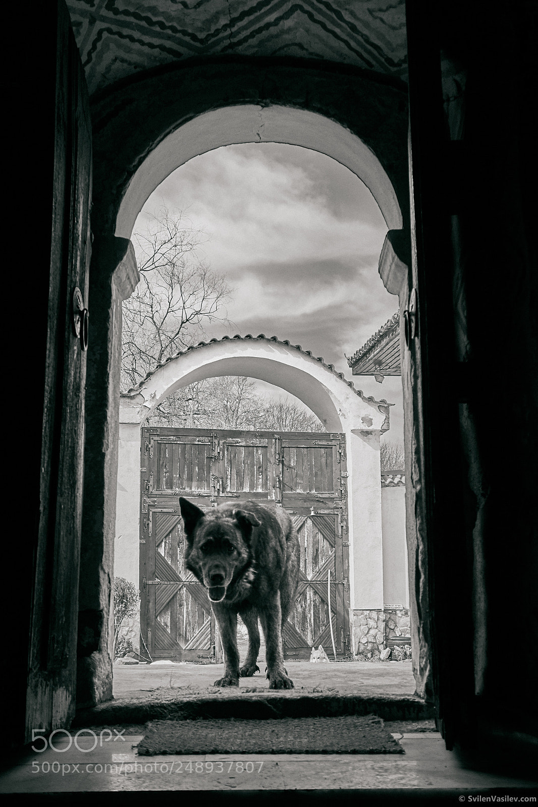 Sony a6000 sample photo. The guardian photography