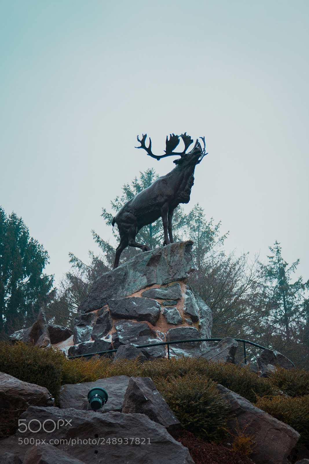Canon EOS 80D sample photo. Beaumont hamel photography