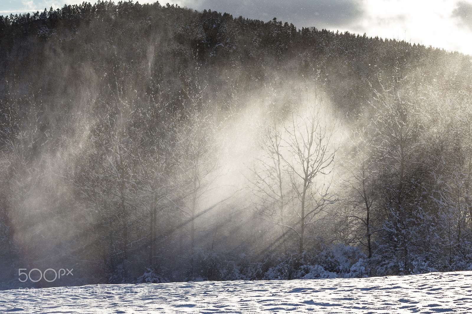 Canon EOS 700D (EOS Rebel T5i / EOS Kiss X7i) sample photo. Inflated snow photography