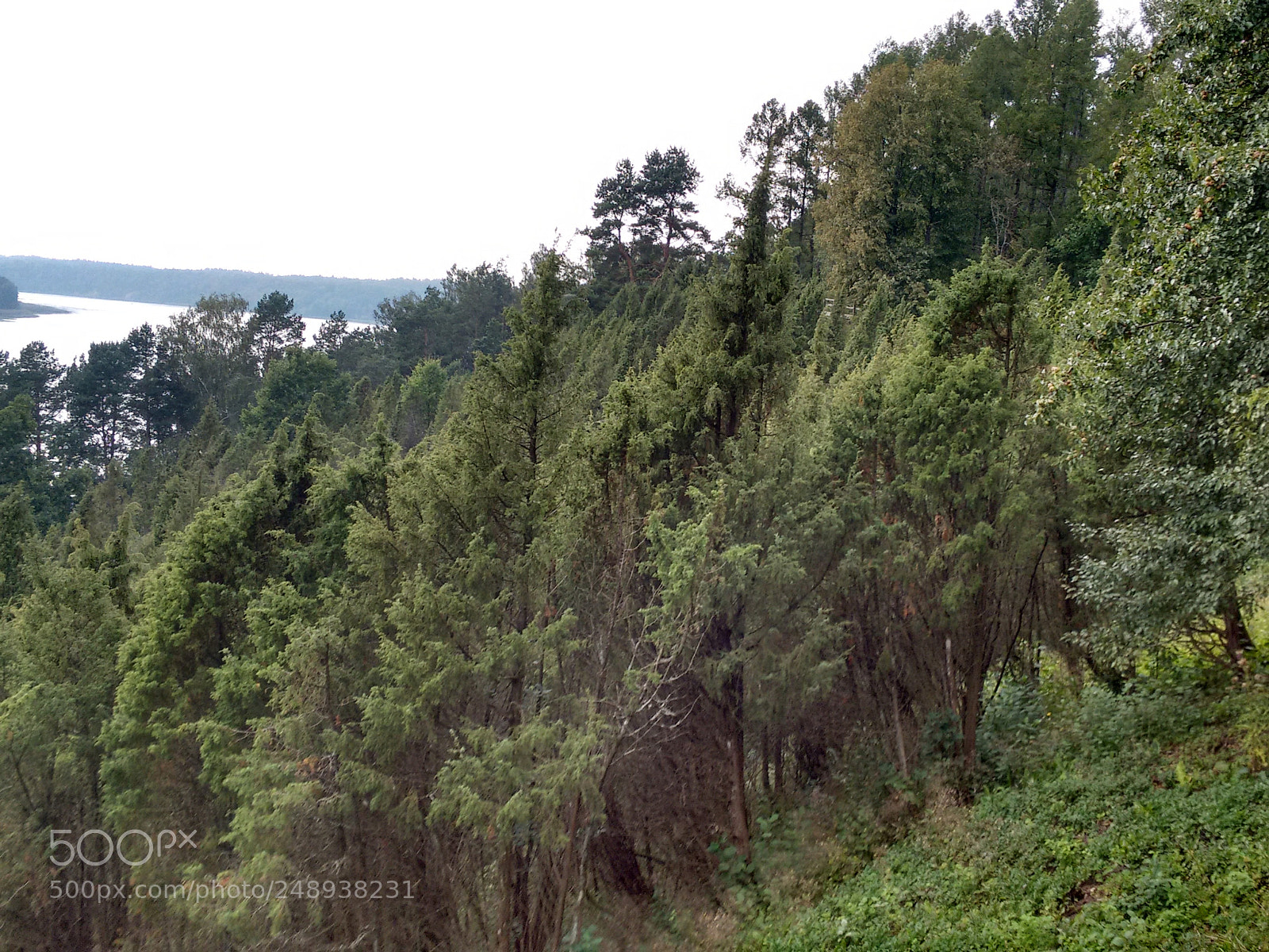 Motorola Moto G (2nd Gen) sample photo. Hdr photography